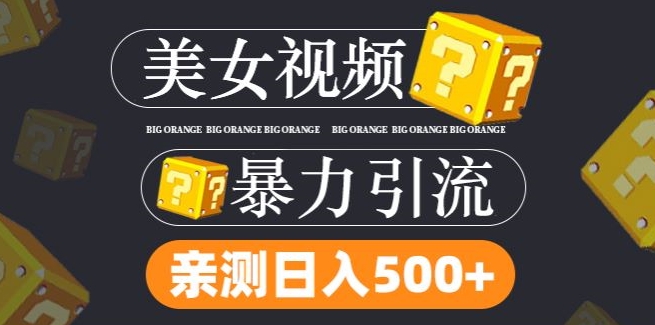 搬运tk美女视频全网分发，日引s粉300+，轻松变现，不限流量不封号【揭秘】-51资源库