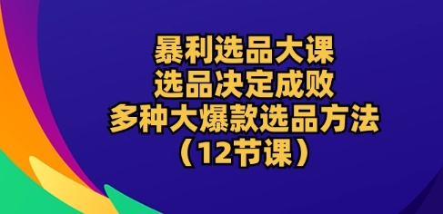暴利选品大课：选品决定成败，教你多种大爆款选品方法(12节课)-51资源库