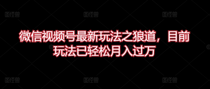 微信视频号最新玩法之狼道，目前玩法已轻松月入过万【揭秘】-51资源库