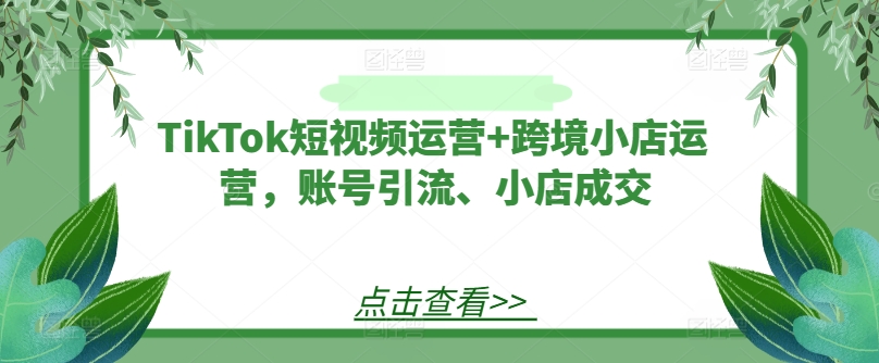 TikTok短视频运营+跨境小店运营，账号引流、小店成交-51资源库
