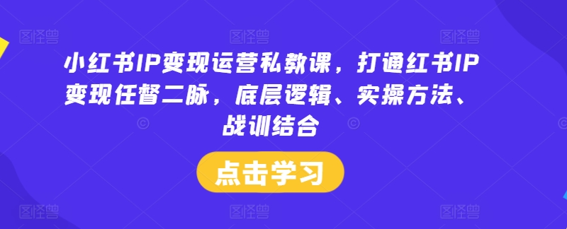 小红书IP变现运营私教课，打通红书IP变现任督二脉，底层逻辑、实操方法、战训结合-51资源库