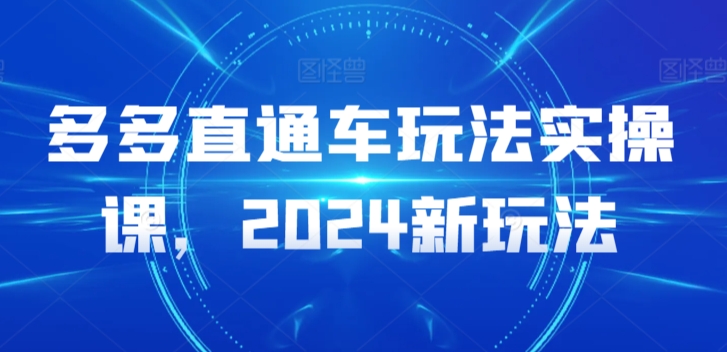 多多直通车玩法实操课，2024新玩法-51资源库