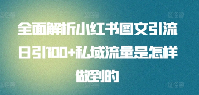 全面解析小红书图文引流日引100+私域流量是怎样做到的【揭秘】-51资源库
