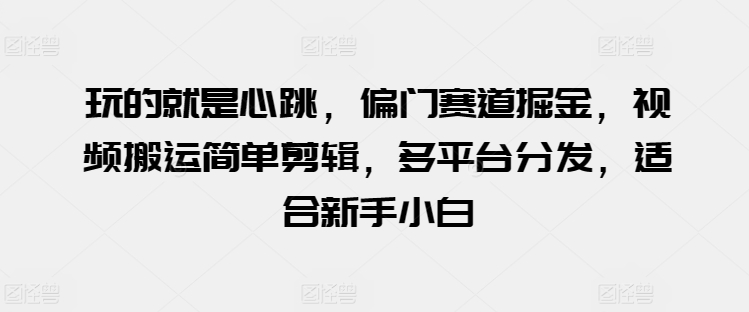 玩的就是心跳，偏门赛道掘金，视频搬运简单剪辑，多平台分发，适合新手小白【揭秘】-51资源库