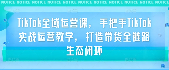 TikTok全域运营课，手把手TikTok实战运营教学，打造带货全链路生态闭环-51资源库