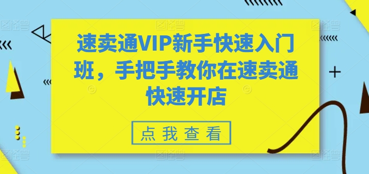 速卖通VIP新手快速入门班，手把手教你在速卖通快速开店-51资源库