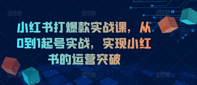 小红书打爆款实战课，从0到1起号实战，实现小红书的运营突破-51资源库
