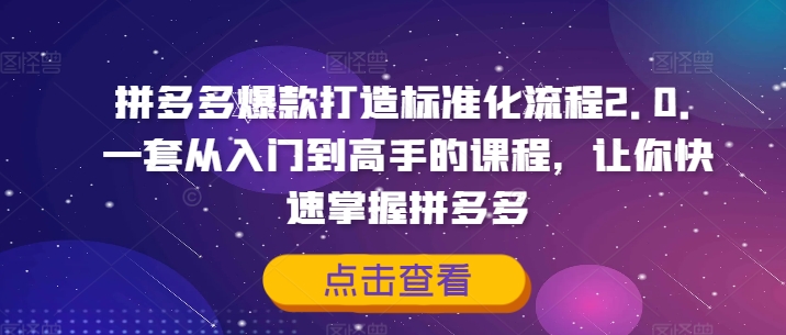 拼多多爆款打造标准化流程2.0，一套从入门到高手的课程，让你快速掌握拼多多-51资源库