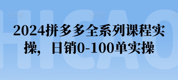 2024拼多多全系列课程实操，日销0-100单实操【必看】-51资源库