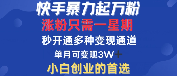 快手暴力起万粉，涨粉只需一星期，多种变现模式，直接秒开万合，单月变现过W【揭秘】-51资源库