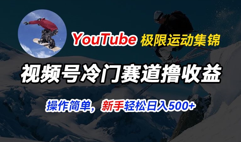 视频号冷门赛道撸收益，YouTube搬运极限运动集锦，暴力起号，操作简单流量高，轻松日入5张【揭秘】-51资源库