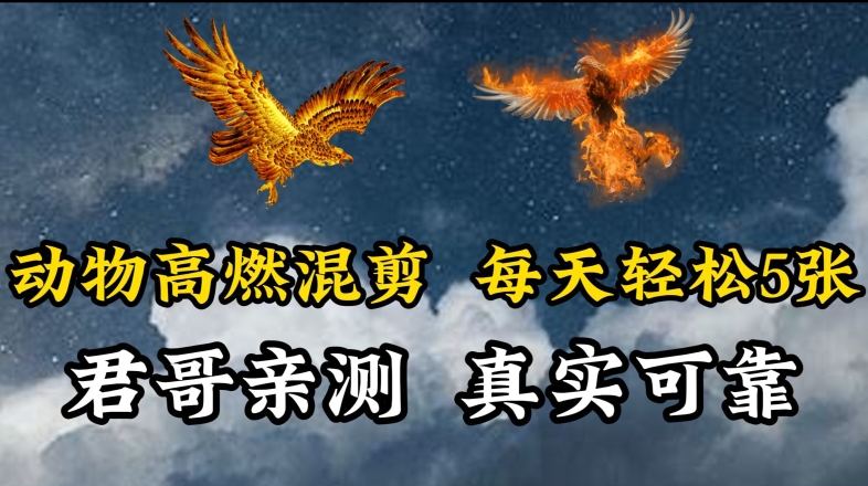 动物超燃混剪，每天轻松5张，剪辑简单大家爱看【揭秘】-51资源库