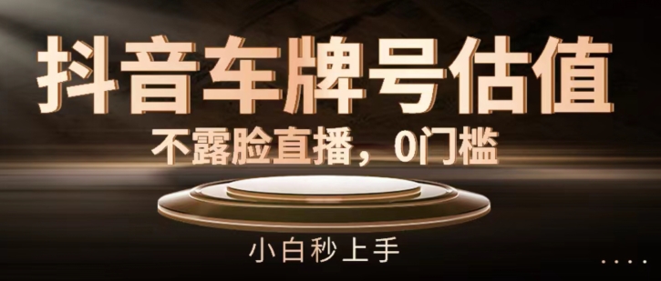 抖音车牌号估值，不露脸直播，0门槛，小白秒上手【揭秘】-51资源库