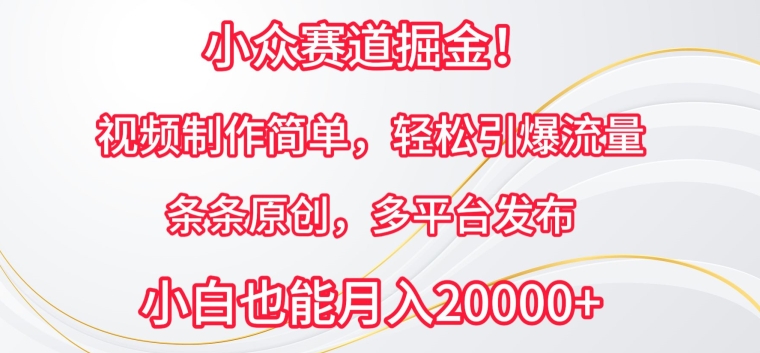 小众赛道掘金，视频制作简单，轻松引爆流量，条条原创，多平台发布【揭秘】-51资源库