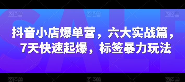 抖音小店爆单营，六大实战篇，7天快速起爆，标签暴力玩法-51资源库