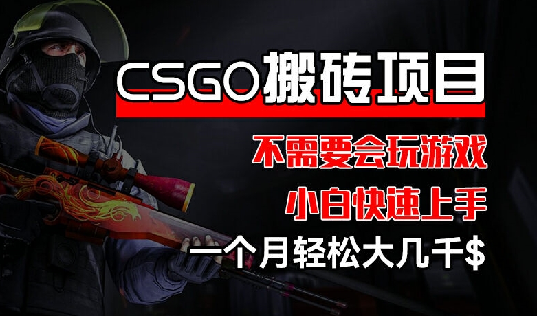 CSGO 装备搬砖项目，操作简单，不需要会玩游戏，小白也能快速上手，一个月轻松大几千【揭秘】-51资源库