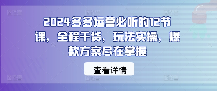 2024多多运营必听的12节课，全程干货，玩法实操，爆款方案尽在掌握-51资源库