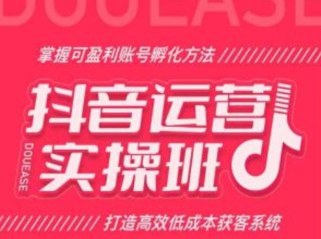 抖音运营实操班，掌握可盈利账号孵化方法，打造高效低成本获客系统-51资源库