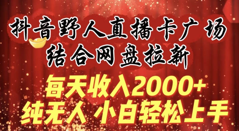 每天收入2000+，抖音野人直播卡广场，结合网盘拉新，纯无人，小白轻松上手【揭秘】-51资源库