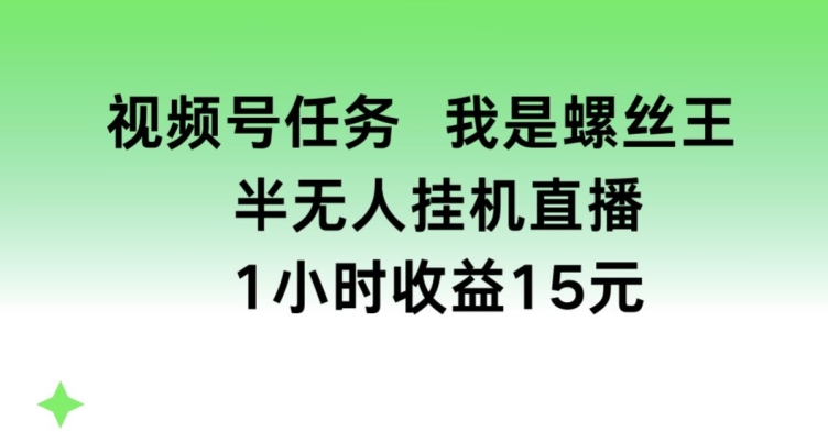 视频号任务，我是螺丝王， 半无人挂机1小时收益15元【揭秘】-51资源库