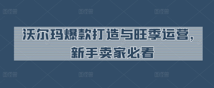 沃尔玛爆款打造与旺季运营，新手卖家必看-51资源库