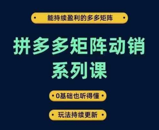 拼多多矩阵动销系列课，能持续盈利的多多矩阵，0基础也听得懂，玩法持续更新-51资源库