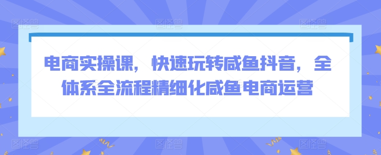 电商实操课，快速玩转咸鱼抖音，全体系全流程精细化咸鱼电商运营-51资源库