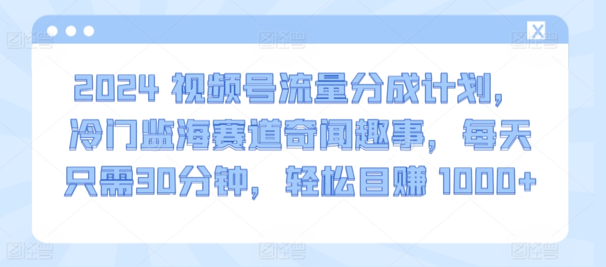 2024视频号流量分成计划，冷门监海赛道奇闻趣事，每天只需30分钟，轻松目赚 1000+【揭秘】-51资源库