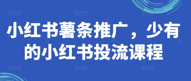 小红书薯条推广，少有的小红书投流课程-51资源库