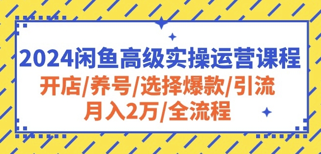 2024闲鱼高级实操运营课程：开店/养号/选择爆款/引流/月入2万/全流程-51资源库