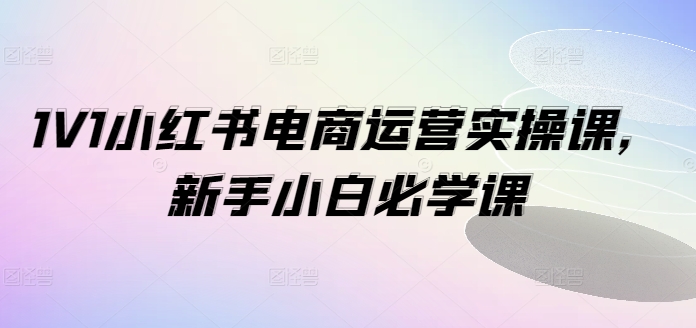 1V1小红书电商运营实操课，新手小白必学课-51资源库