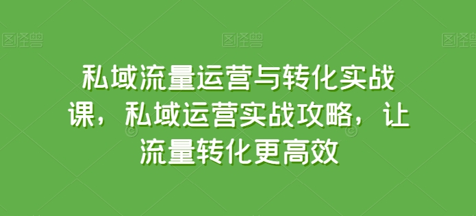 私域流量运营与转化实战课，私域运营实战攻略，让流量转化更高效-51资源库