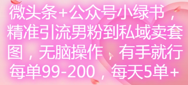 微头条+公众号小绿书，精准引流男粉到私域卖套图，无脑操作，有手就行，每单99-200，每天5单-51资源库