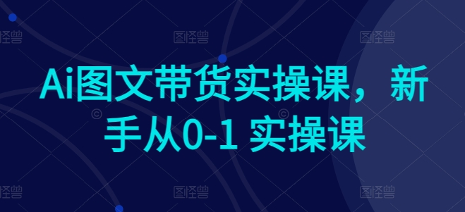 Ai图文带货实操课，新手从0-1 实操课-51资源库