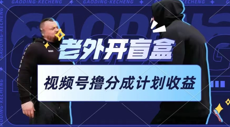老外开盲盒视频，撸视频号分成计划收益，每天只需一小时，新手小白轻松上手【揭秘】-51资源库