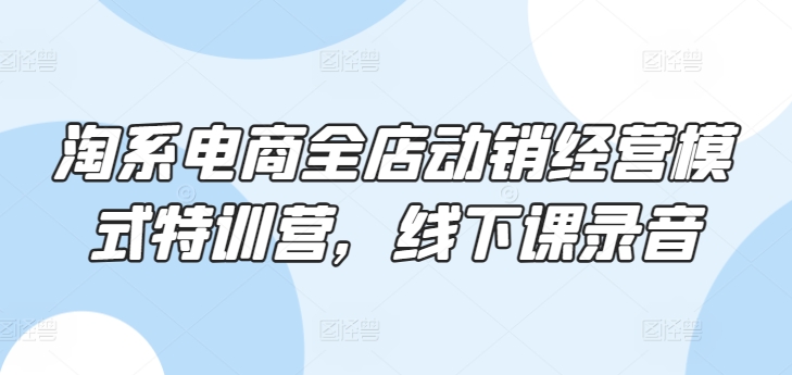 淘系电商全店动销经营模式特训营，线下课录音-51资源库
