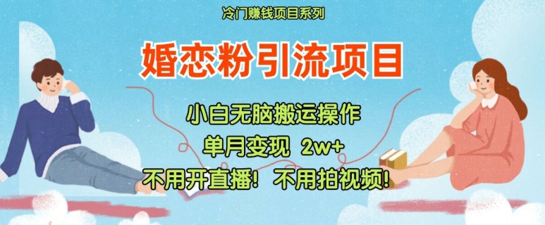 小红书婚恋粉引流，不用开直播，不用拍视频，不用做交付【揭秘】-51资源库