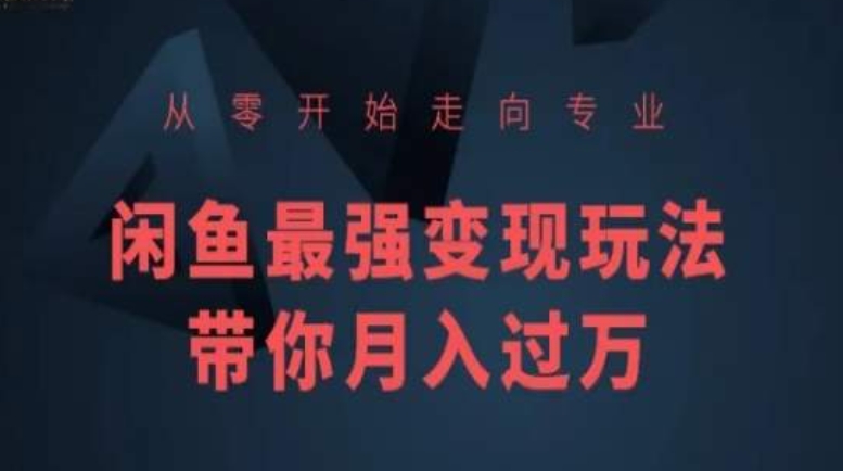 从零开始走向专业，闲鱼最强变现玩法带你月入过万-51资源库