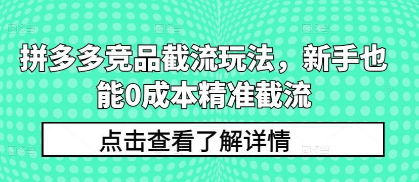 拼多多竞品截流玩法，新手也能0成本精准截流-51资源库