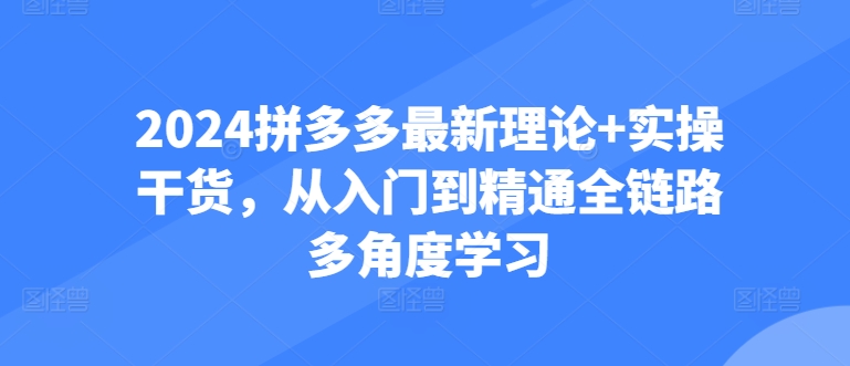 2024拼多多最新理论+实操干货，从入门到精通全链路多角度学习-51资源库