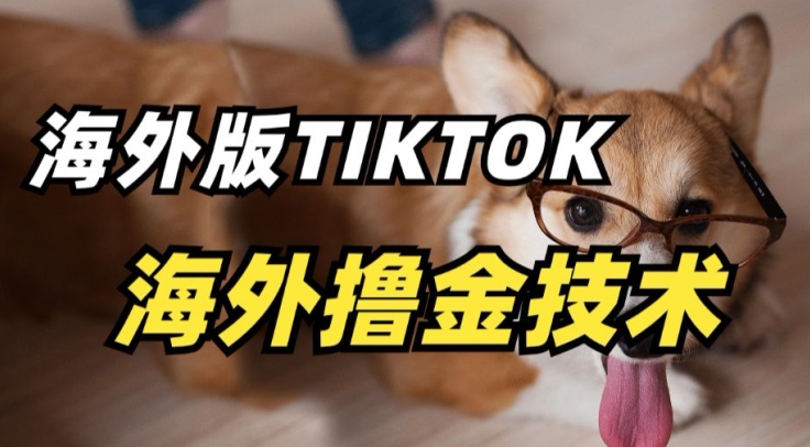 抖音海外版tiktok撸金技术，这个风口行业，赚钱真的不难【揭秘】-51资源库