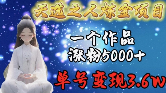 天选之人炼金项目，一个作品涨粉5000+，单号变现3.6w【揭秘】-51资源库