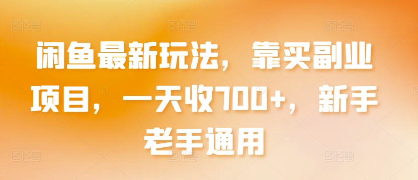 闲鱼最新玩法，靠买副业项目，一天收700+，新手老手通用【揭秘】-51资源库