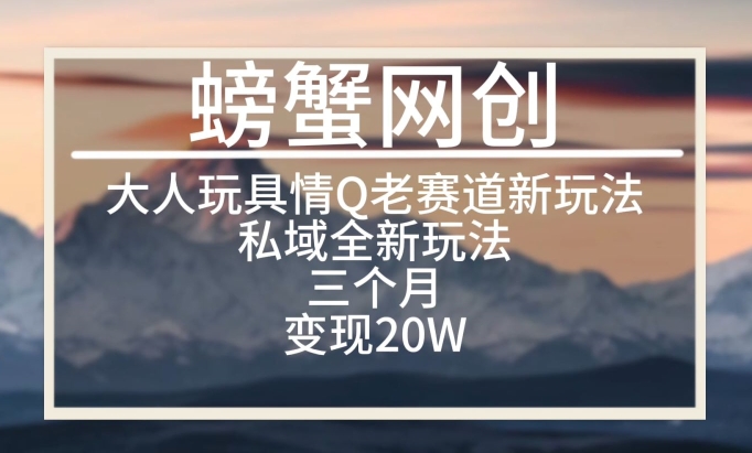 大人玩具情Q用品赛道私域全新玩法，三个月变现20W，老项目新思路【揭秘】-51资源库