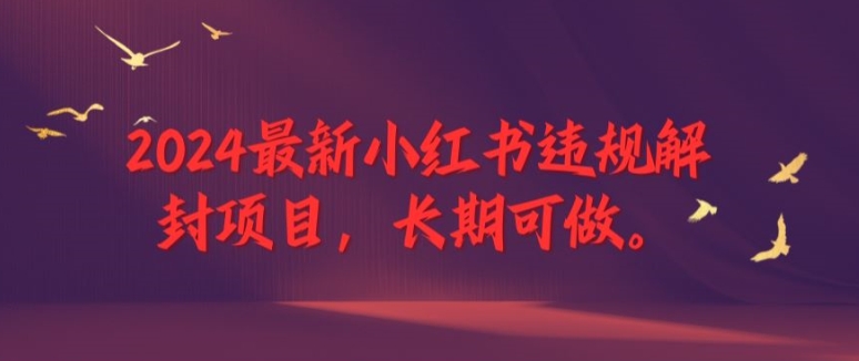 2024最新小红书违规解封项目，长期可做，一个可以做到退休的项目【揭秘】-51资源库