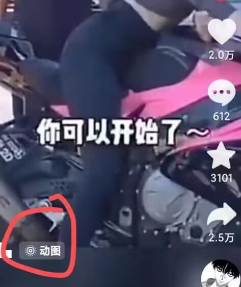 2024年7月苹果手机动图搬运技术-51资源库