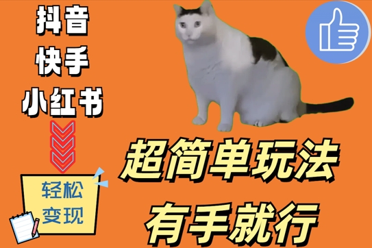 超简单玩法，有手就行，靠猫咪视频日入500+【揭秘】-51资源库