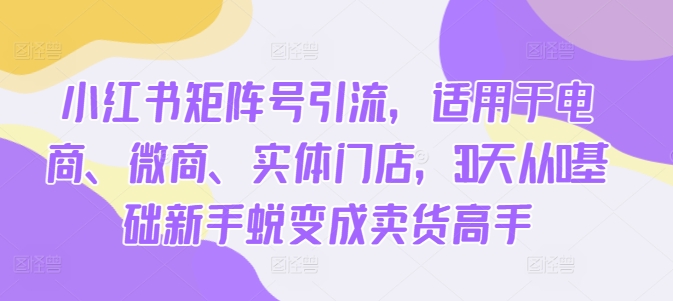 小红书矩阵号引流，适用于电商、微商、实体门店，30天从0基础新手蜕变成卖货高手-51资源库