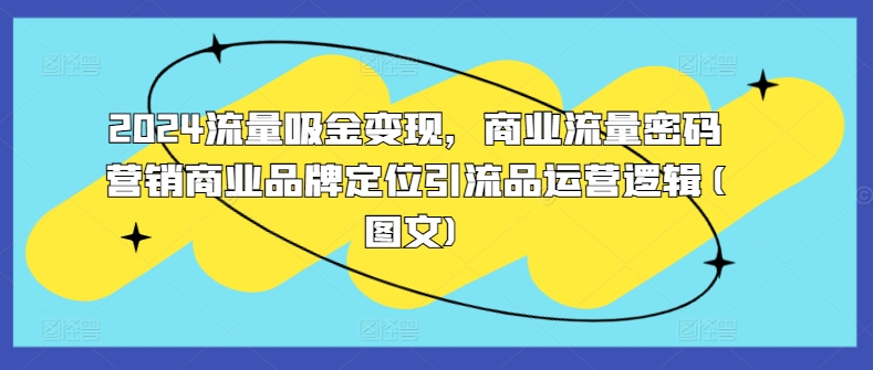 2024流量吸金变现，商业流量密码营销商业品牌定位引流品运营逻辑(图文)-51资源库