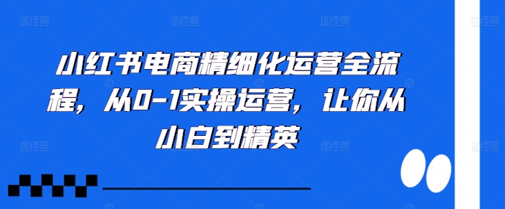 小红书电商精细化运营全流程，从0-1实操运营，让你从小白到精英-51资源库